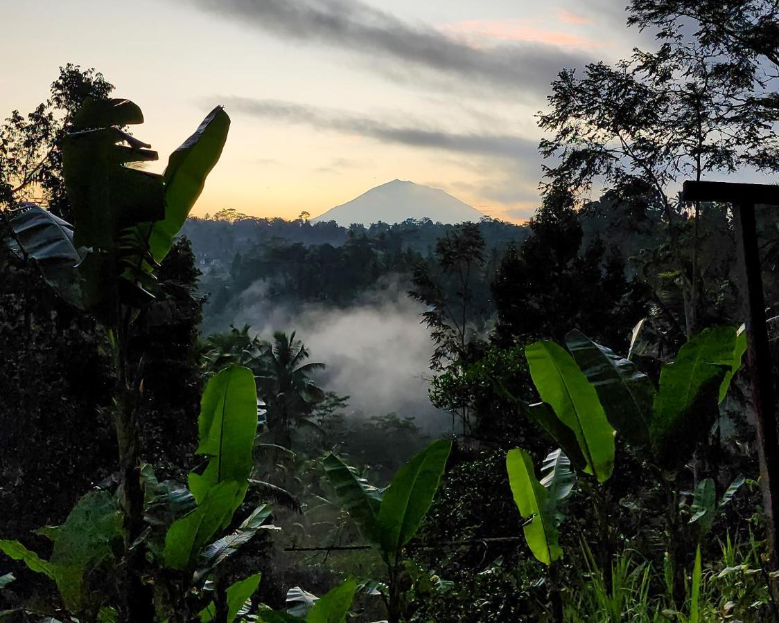 Delta Casa Ubud-Cozy Tropical Villas With Volcano View パヤンガン エクステリア 写真