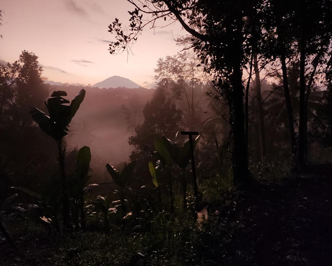 Delta Casa Ubud-Cozy Tropical Villas With Volcano View パヤンガン エクステリア 写真
