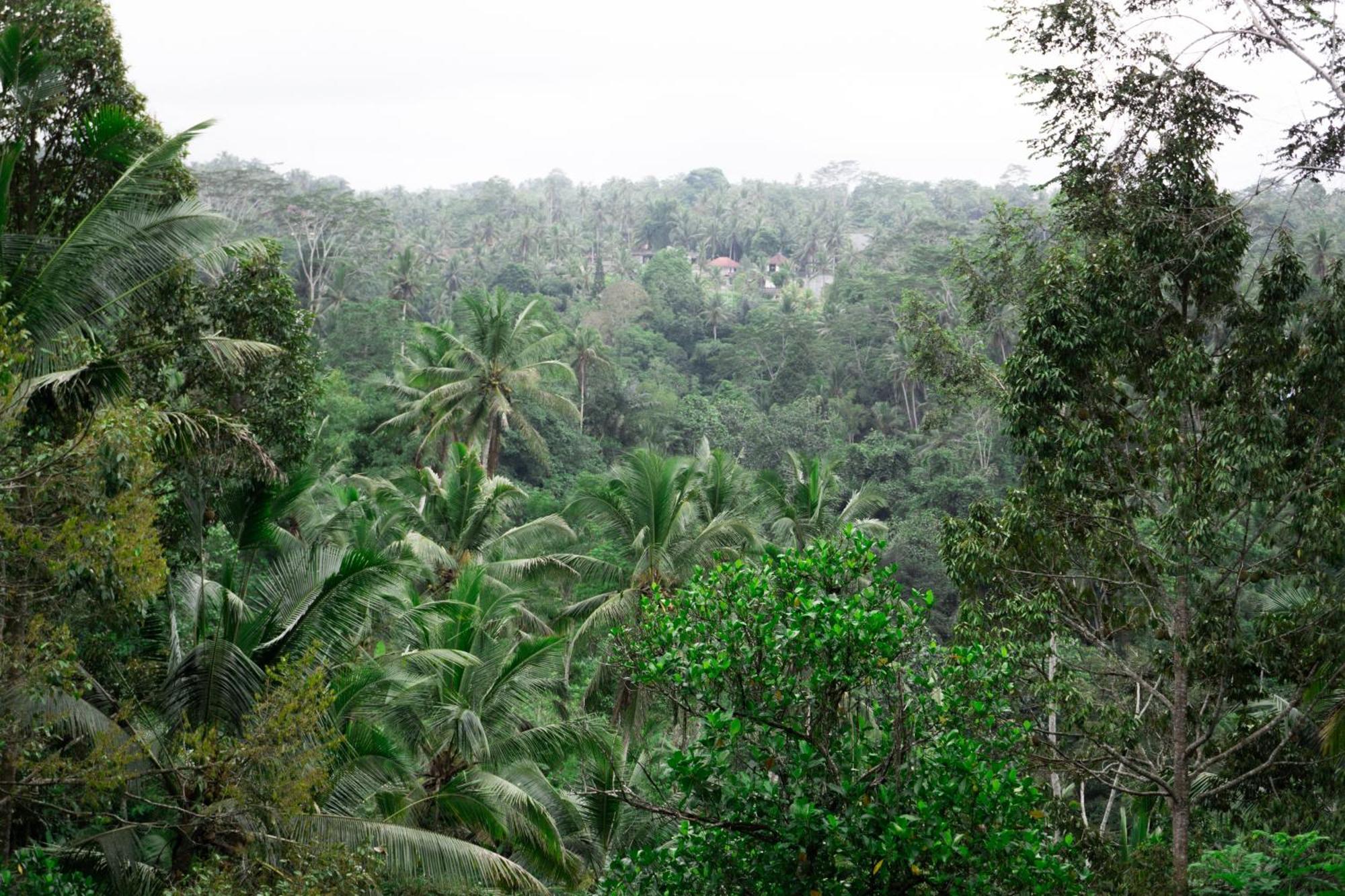 Delta Casa Ubud-Cozy Tropical Villas With Volcano View パヤンガン エクステリア 写真